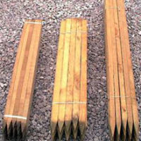 Tree Stakes