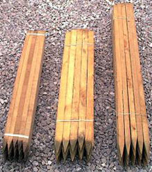 Tree Stakes
