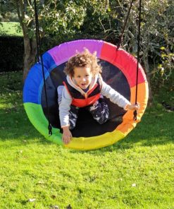 Rainbow Nest Swing