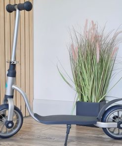 Kids Scooter Silver
